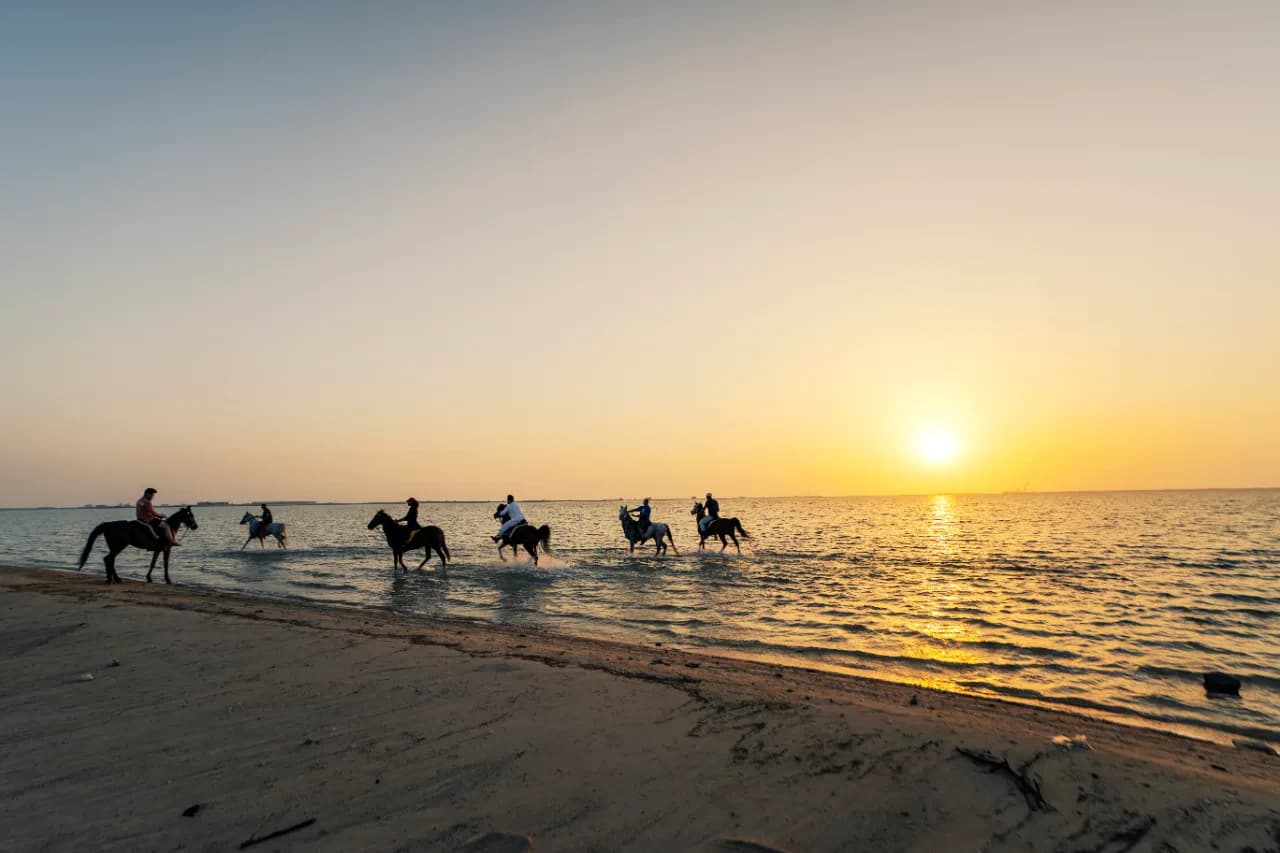 ركوب الخيل على البحر