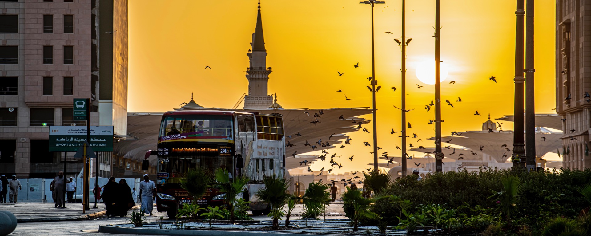 مشهد عام — المدينة