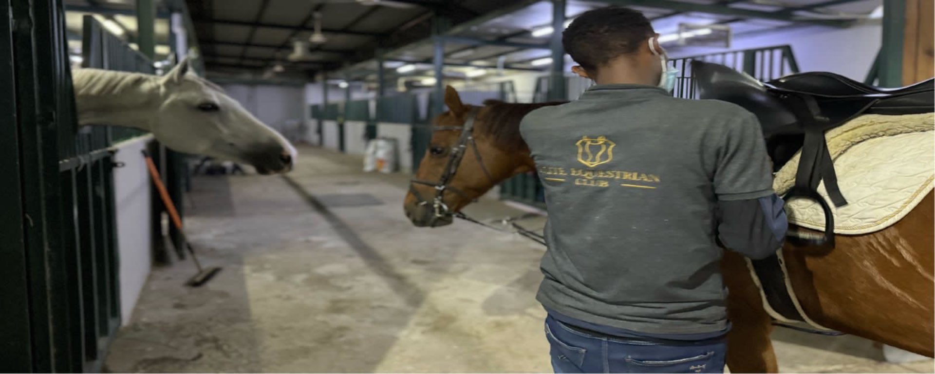 Horse Riding Lesson Jeddah