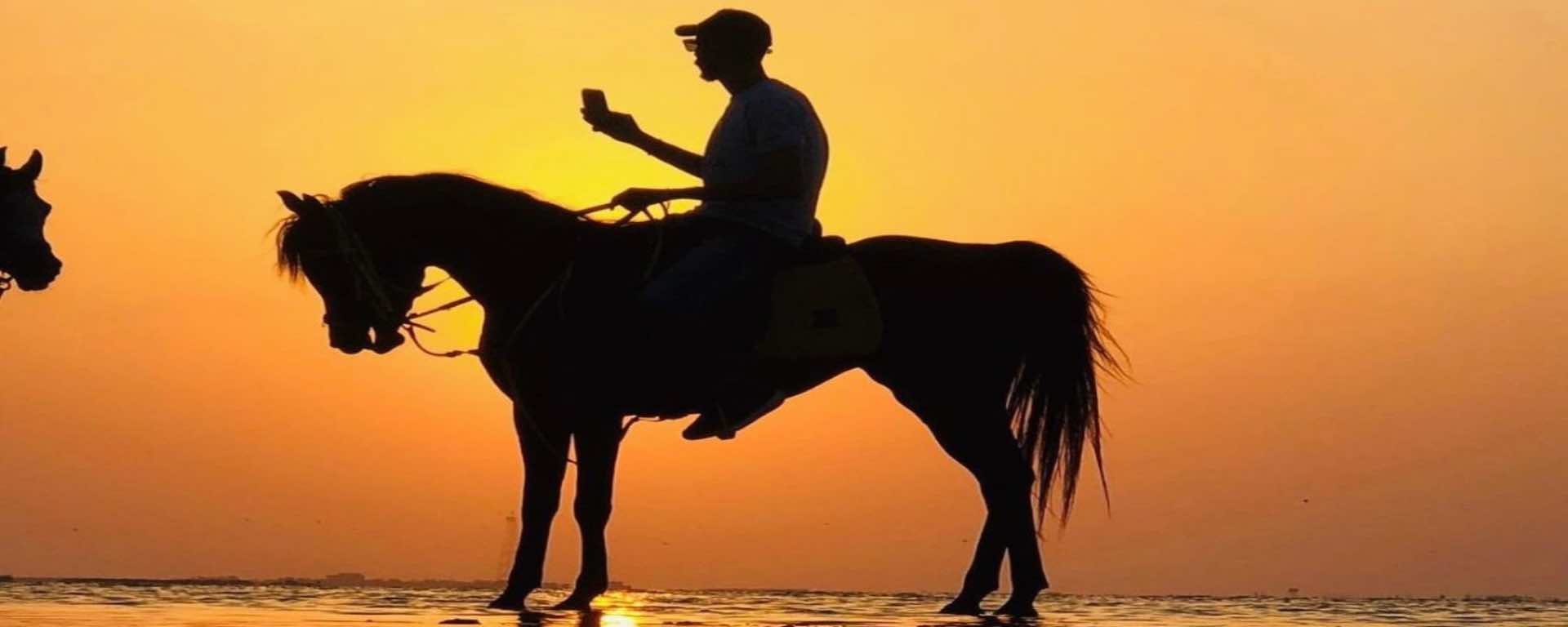 Horse Riding by the Beach Jeddah