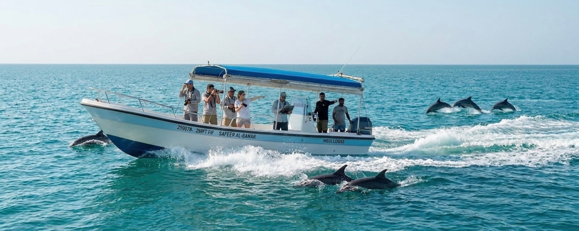 Dolphin Search Tour Jeddah